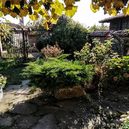 къщата на художника * زيرافنا