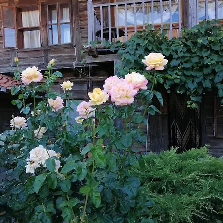 بيت ضيافة къщата на художника زيرافنا